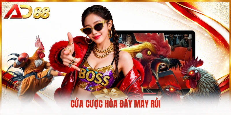 Cửa cược hòa đầy may rủi