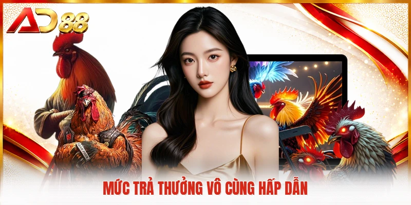 Mức trả thưởng vô cùng hấp dẫn